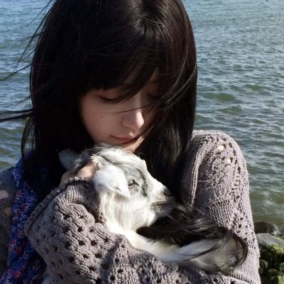 因梦之缘海报